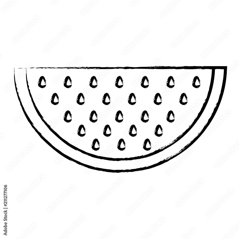 sketch of watermelon icon over white background, vector illustration sketch of watermelon icon over white background, vector illustration