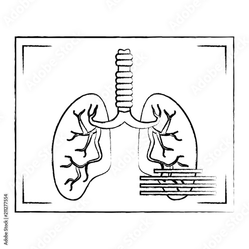 Lungs xray icon over white background, vector illustration