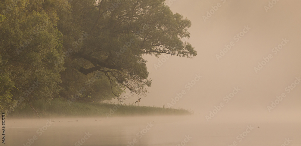 Fototapeta premium River coast landscape in fog