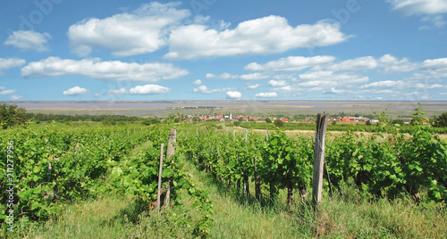 Blick auf den Weinort Mörbisch am See am Neusiedlersee,Burgenland,Österreich