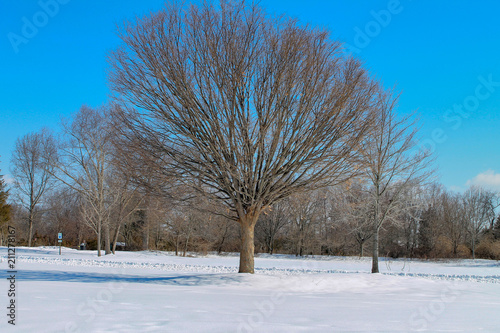 The day after a snowstorm at the Greenlane Resevoir in Pennsylvania