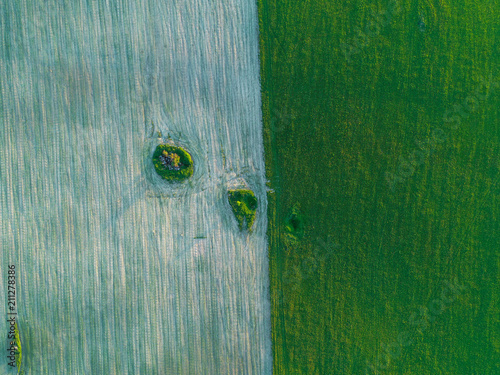 beautiful geometry of fields green and brown photo from height