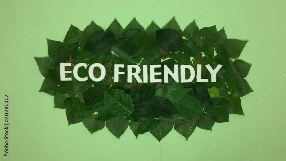 Frase “eco friendly” encima de hojas de plantas.