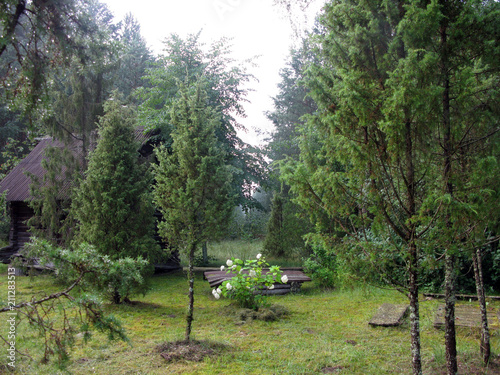 House in the forest of Lithuania