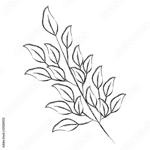 branch foliage leaves natural botanical vector illustration sketch