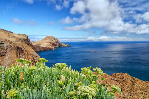 Sunny Madeira coastline background