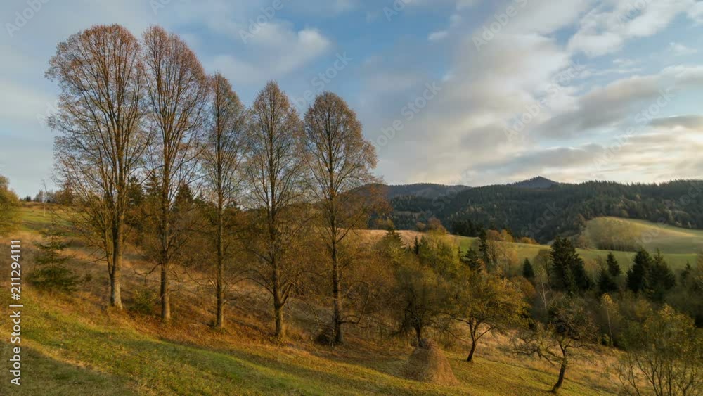 Trees leaf fall in autumn Time lapse Trees leaf fall in autumn Time lapse