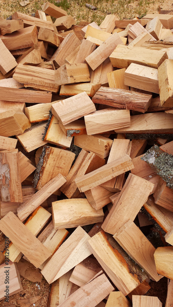 Wood logs Wood logs