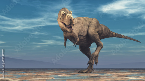 Tyrannosaurus Rex on white ...