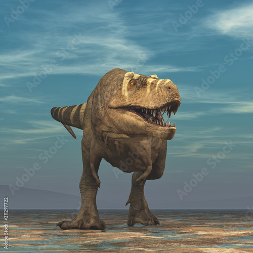 Tyrannosaurus Rex on white ...