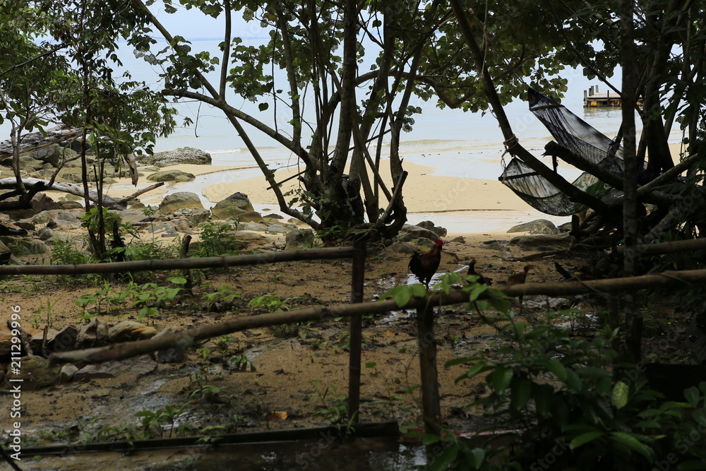 Paysage de l'île de Koh Rong au Cambodge