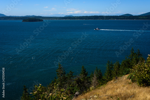 View from a hilltop in the San Juan Islands of the of the vibrant blue water of Salish Sea, with a boat motoring, and other islands in the distance, water, trees, bushes, and grasses in foreground. 
