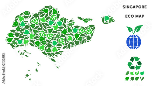 Ecology Singapore map collage of floral leaves in green color shades. Ecological environment vector template. Singapore map is designed with green floral parts. Abstract area plan.