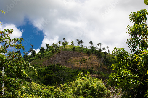 Tropische Bergkette in der Karibik 