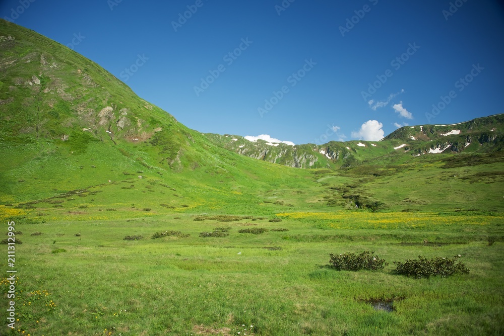 Wide valley among the rocky peaks. Alpine meadows in the Caucasus Mountains. Flowers of all colors and grasses. Beautiful blue sky and clouds. Mountain tourism.
