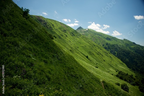 Green slope of the high big mountain. Alpine meadows in the Caucasus Mountains. Flowers of all colors and grasses. Beautiful blue sky and clouds. Impressions from mountain tourism.