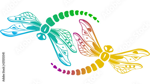 Two decorative dragonflies