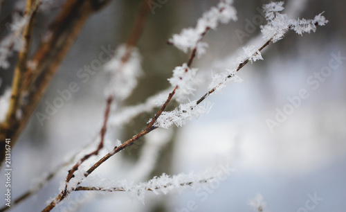 Зима © Nelldotcom