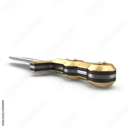 Roman Pugio Dagger on white. 3D illustration photo