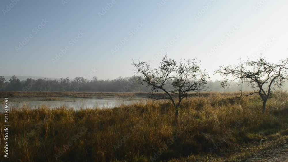 Beautiful landscape with lake in national park in India Beautiful landscape with lake in national park in India