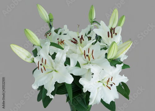 Beautiful Lillies in a Bunch on Grey Background.