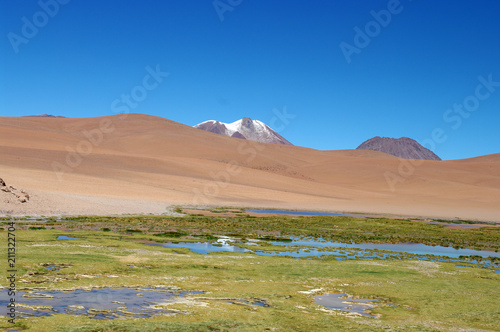 Zone irrigu  e dans le d  sert d Atacama