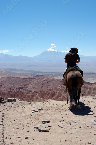 Cavalier face au volcan Licancabur