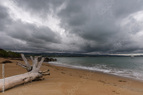 Φωτογραφία Driftwood log on Moeraki beach under a stormy, threatening sky.