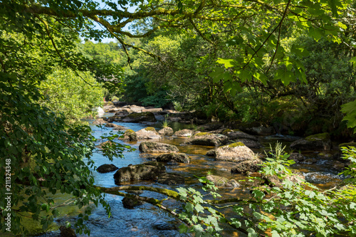 Dartmoor, Devon, England photo