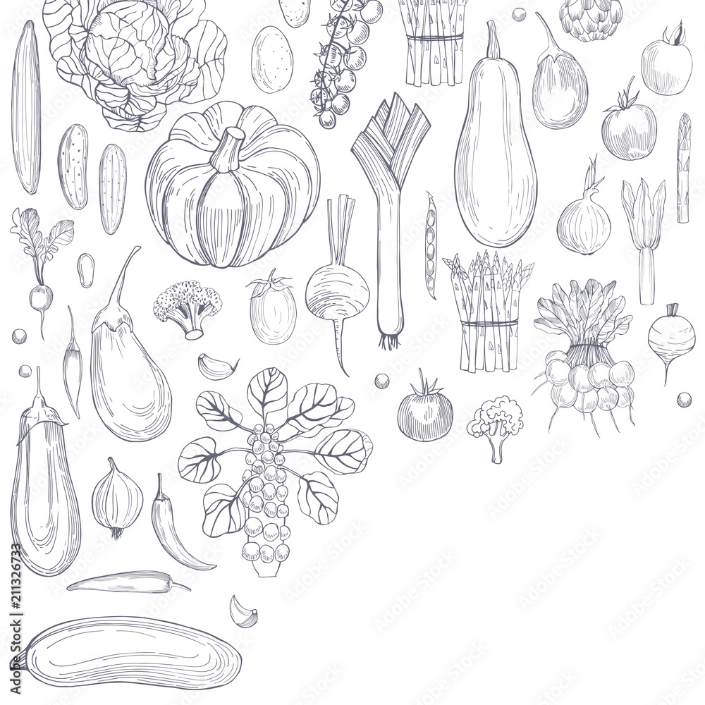 Vector background with hand drawn vegetables Vector background with hand drawn vegetables