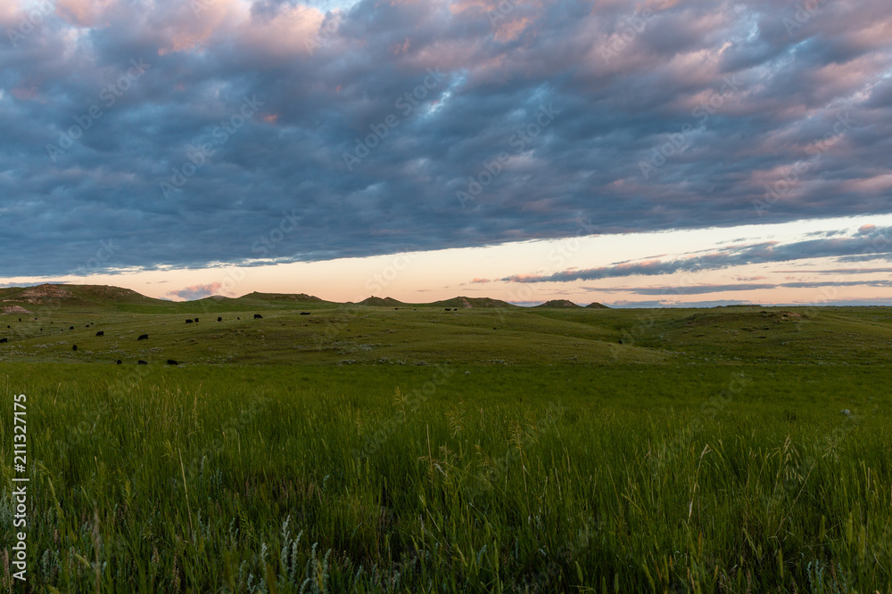 Pastureland