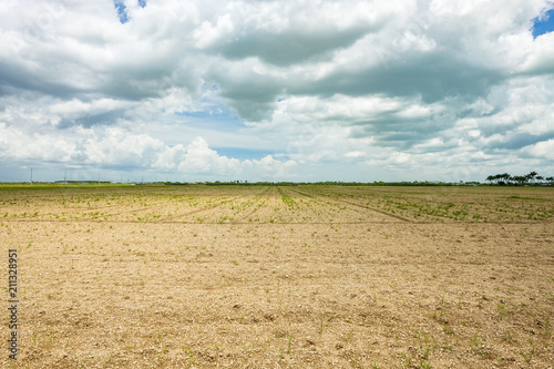 Barren agriculture field