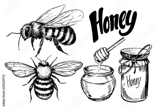 Sketch of honey elements Fototapeta