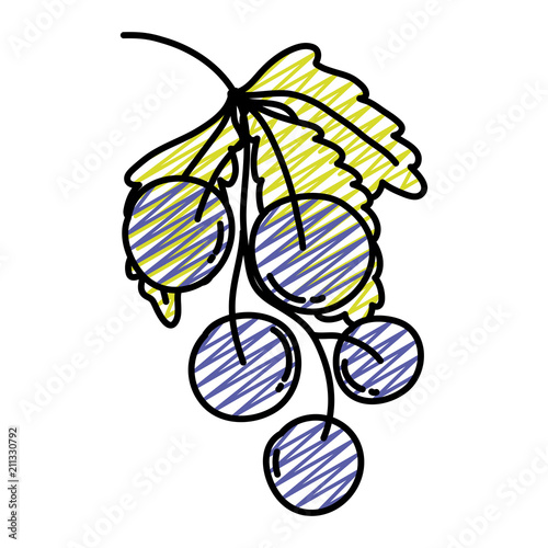 doodle delicious grapes organic fruit with leaves