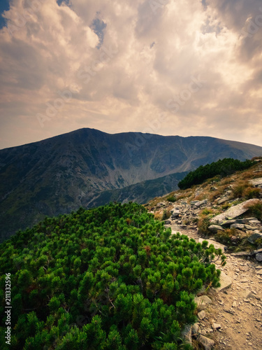  Carpathian Mountains summer landscape, Romania, Europe