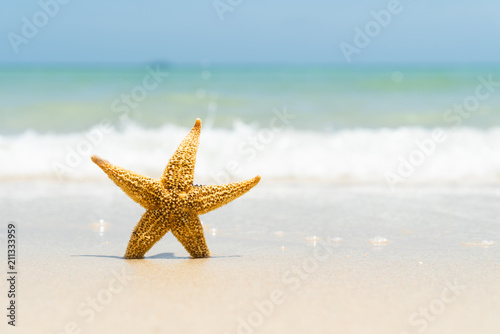 Starfish on sand beach, blue sky and soft wave background. summer holiday and vacation concept.