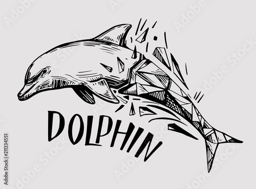 Sketch of dolphin. Hand drawn illustration converted to vector