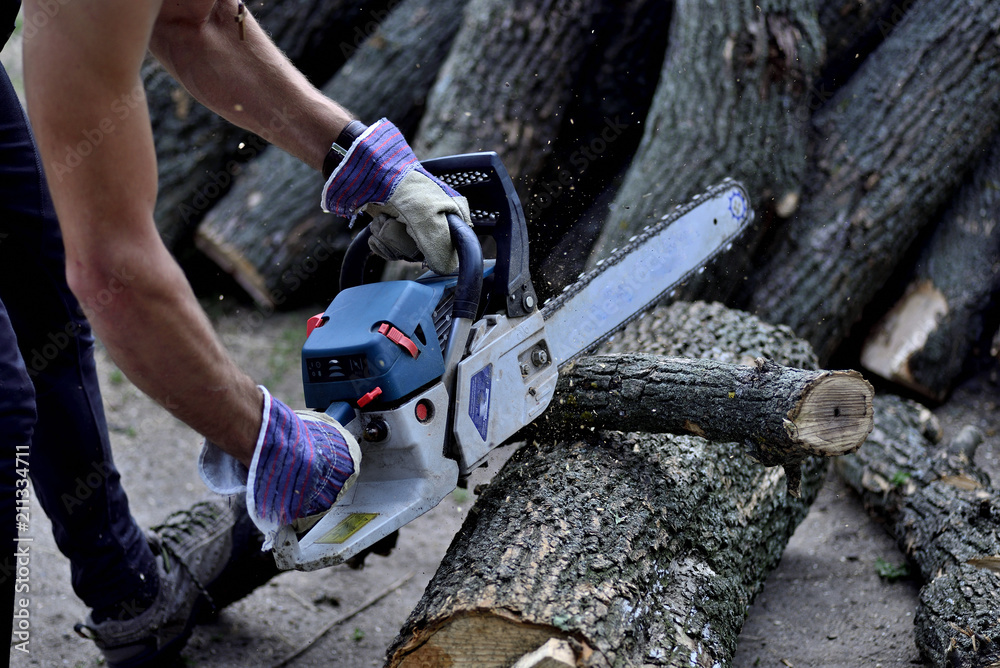 Chainsaw. Close-up of woodcutter sawing chain saw in motion, sawdust fly to sides. Concept is to bring down trees.