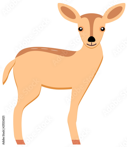 Deer vector image