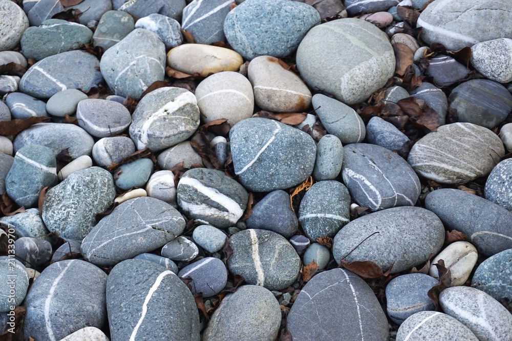 Smooth tumbled beach stones with white stripe inclusions Smooth tumbled beach stones with white stripe inclusions
