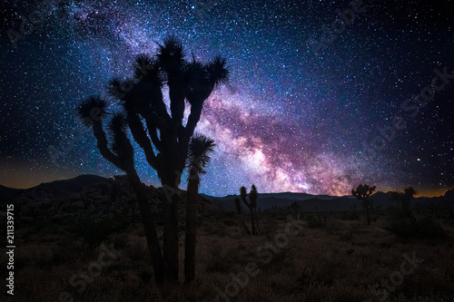 Joshua tree park under a starry night, in Mojave Desert, California photo