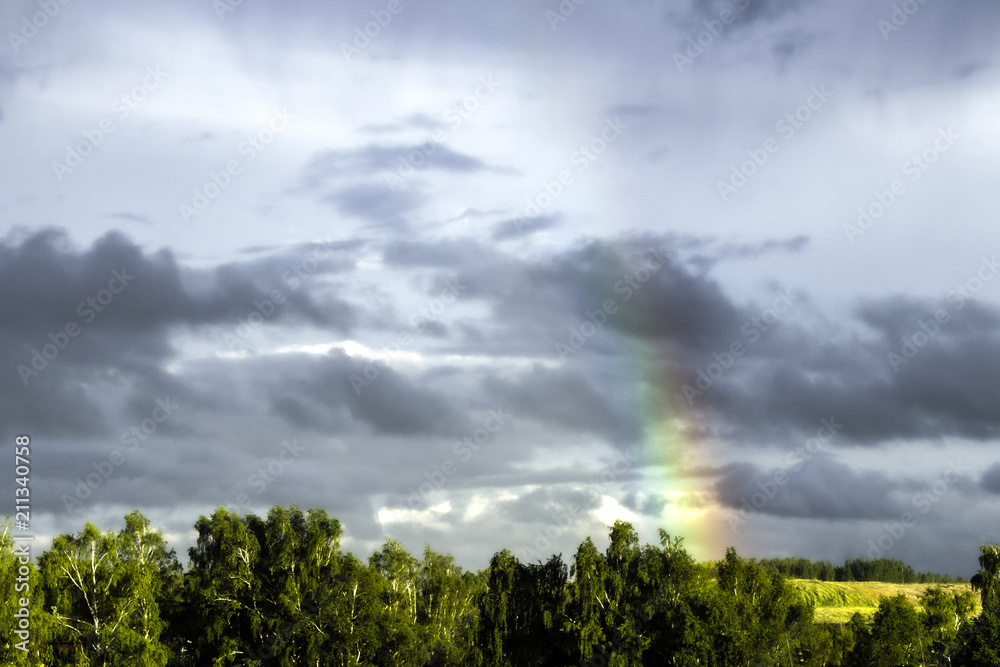 bright rainbow in the sky with dark clouds on the background of trees 