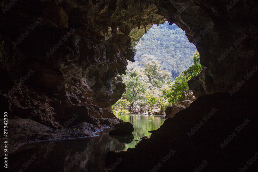 Trees and water view from inside the cave in Laos Trees and water view from inside the cave in Laos