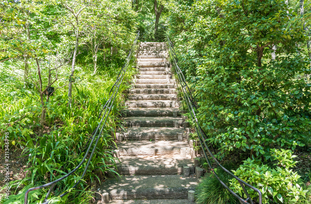 Obraz premium 階段