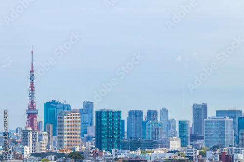 東京全景 panoramic view of the capital Tokyo