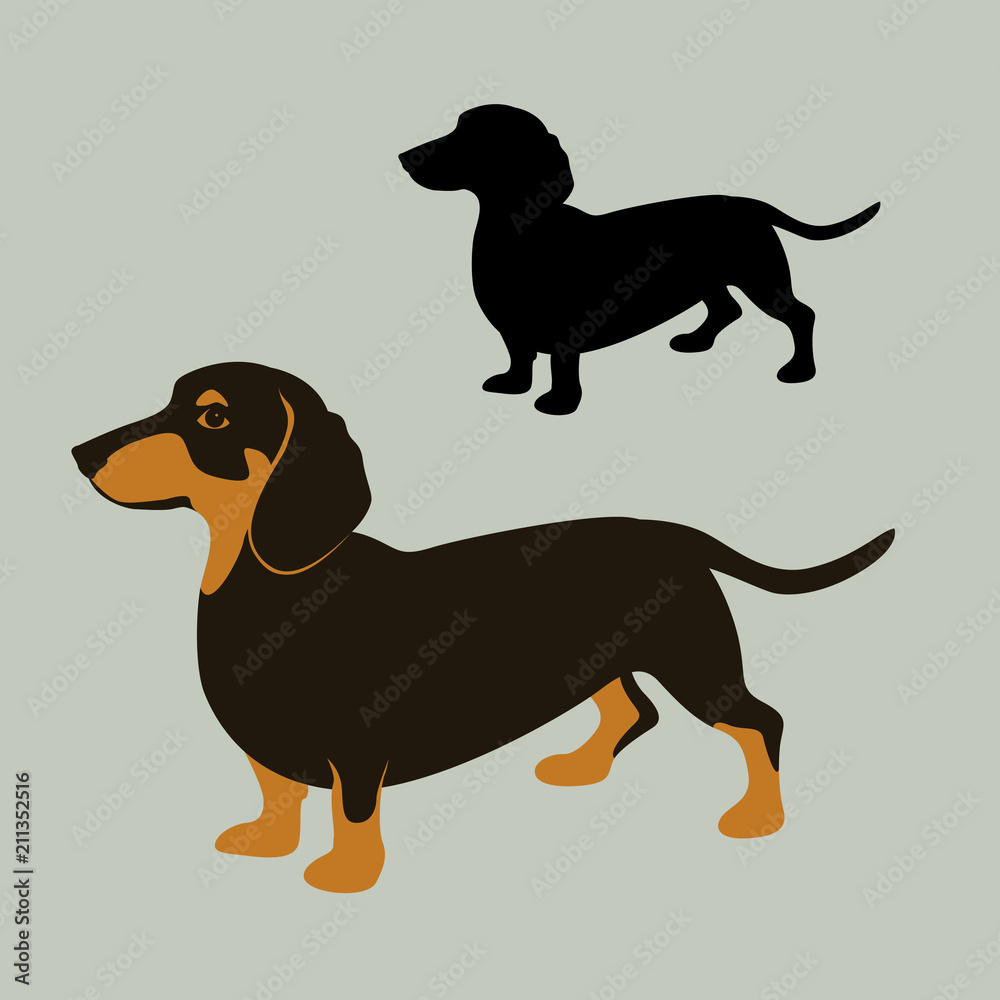 dachshund dog vector illustration flat style black silhouette 