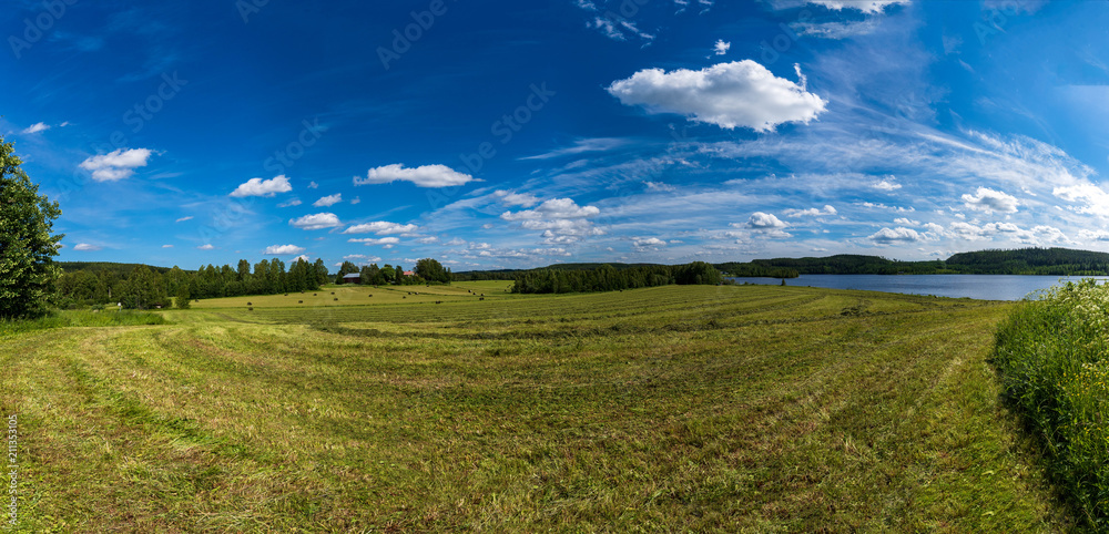 Fields of blue