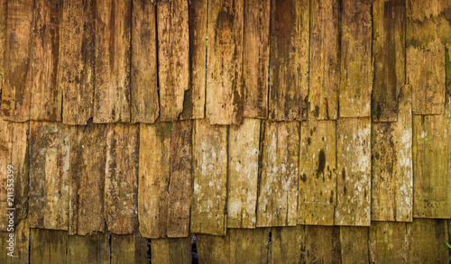 Grunge Wood panels for background photo