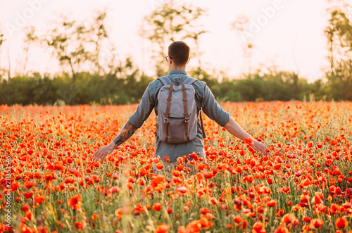 Traveler man walking in red poppies meadow.