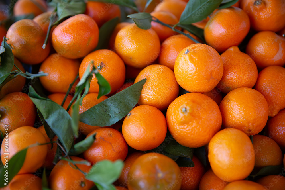 Fresh Oranges and Their Stems